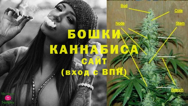 сатива Абаза