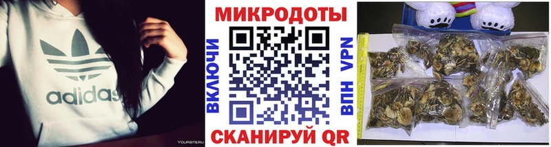 Галлюциногенные грибы MAGIC MUSHROOMS  Красково 